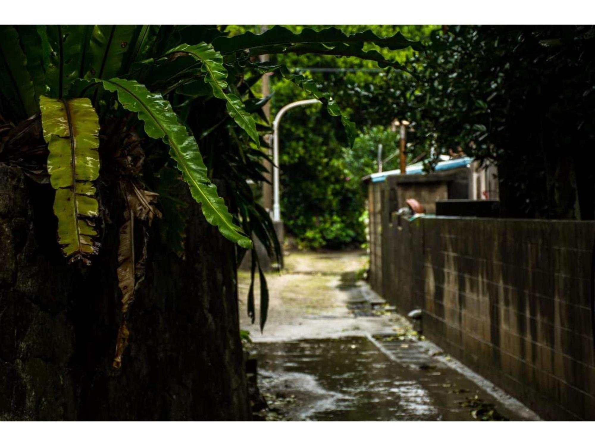 Homestay Kucha - Vacation Stay 17846V Zamami Exterior foto